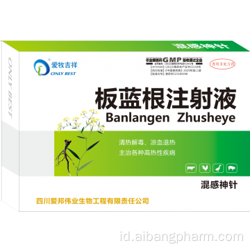 Obat -obatan Paten Cina Root IndiGowoad,